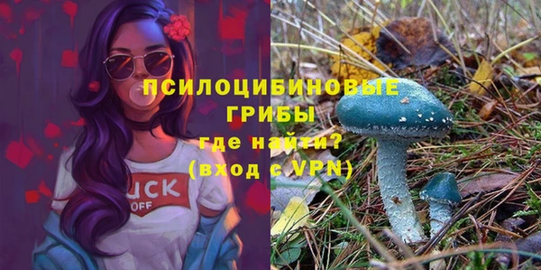 бошки Краснослободск