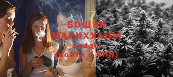 индика Костерёво
