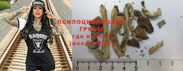 индика Костерёво