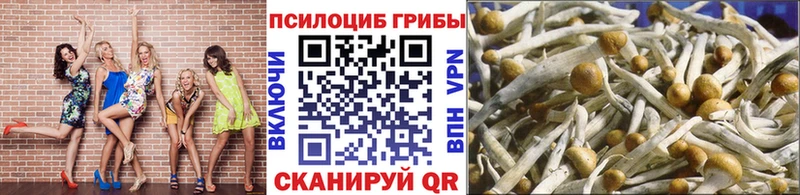Псилоцибиновые грибы прущие грибы  blacksprut как войти  Кизилюрт 
