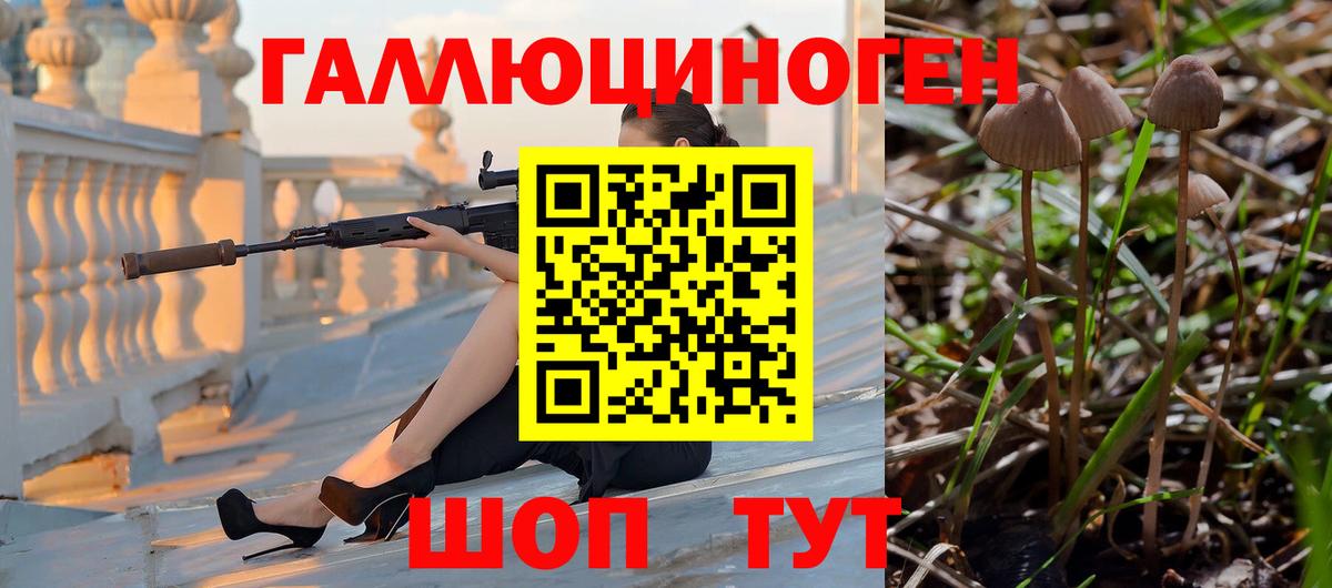 где купить наркоту  Псилоцибиновые грибы мухоморы  Вход с VPN  Кизилюрт  Галлюциногенные грибы Cubensis 